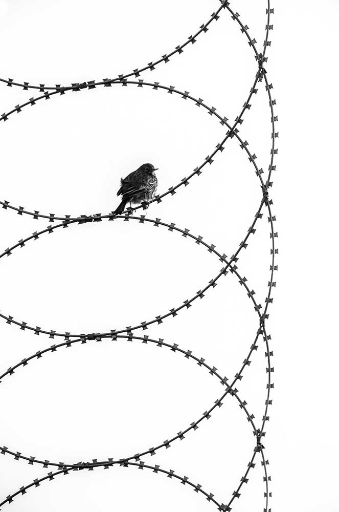 Transformation von Ibrahim Canakci