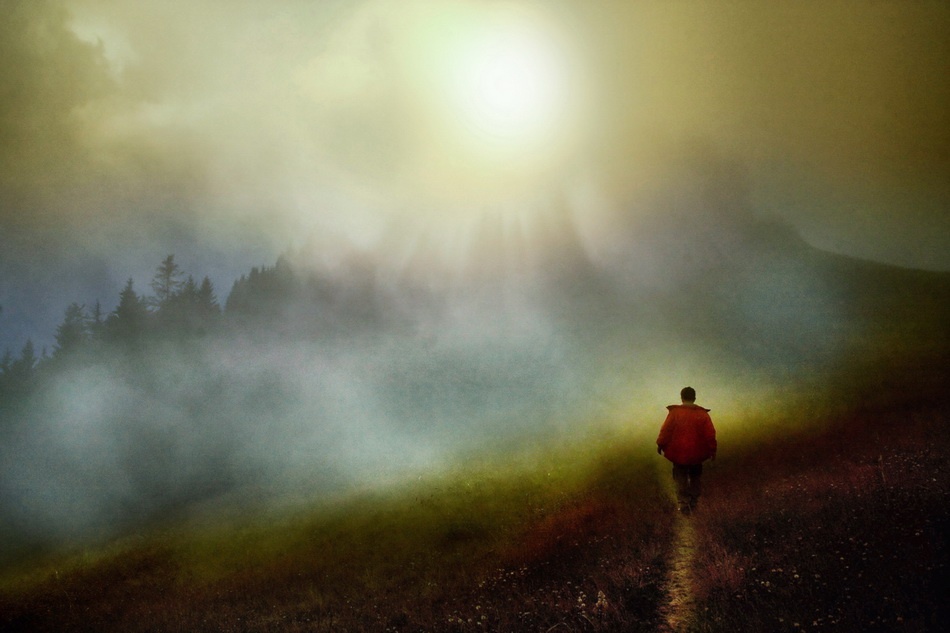 IN THE FOG von ibrahim kerem ozturk