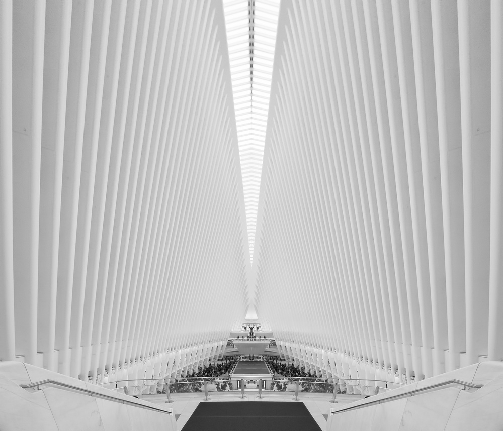 The Oculus von Ibrahim Nabeel