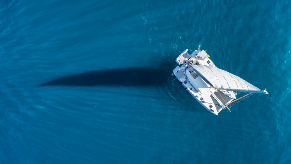 sail sword von Ido Meirovich