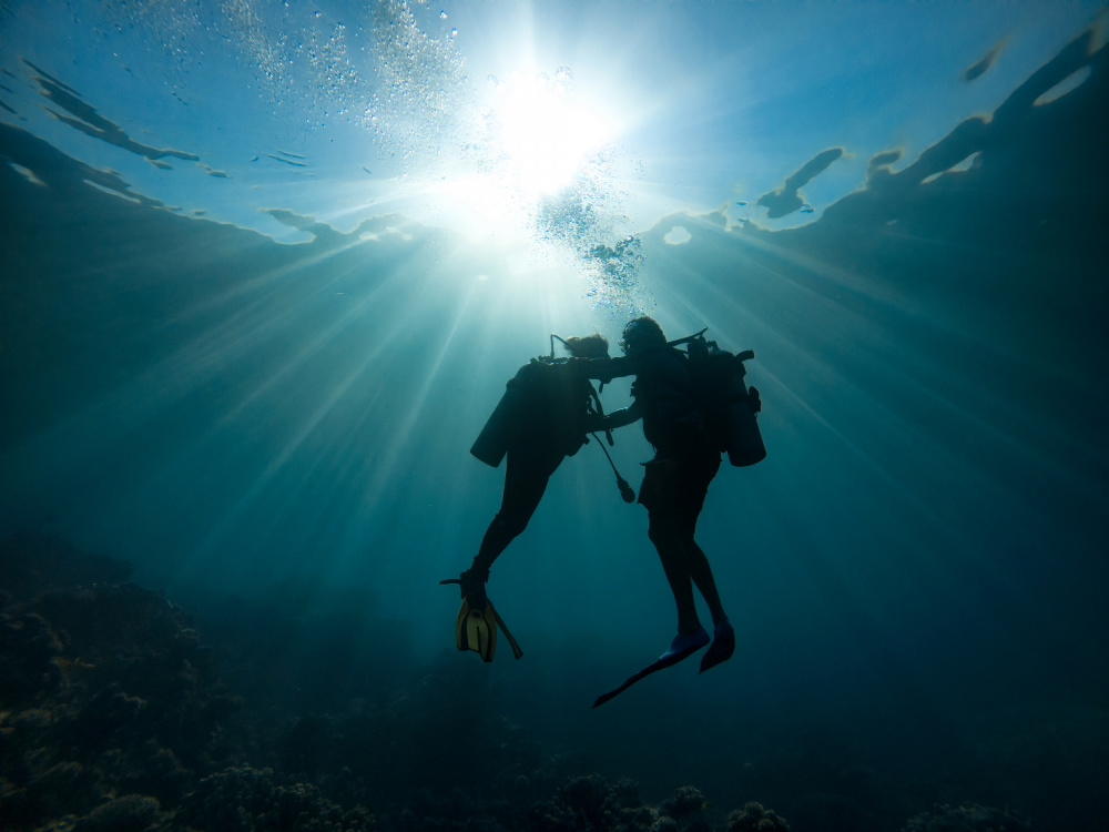 Trust me von Ido Meirovich