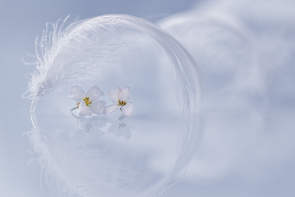 Peacefulness von Igor Kopcev