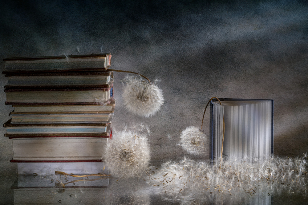 For three... von Igor Kopcev