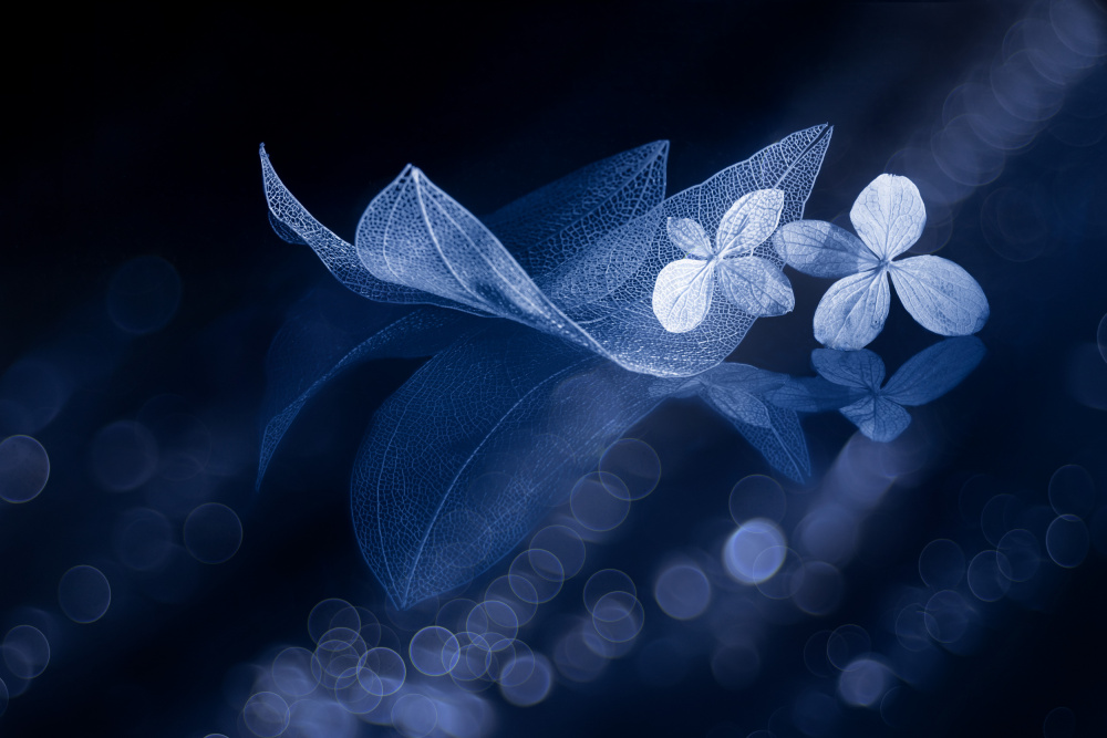 Inspired von Igor Kopcev