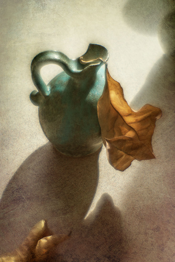 Autumn leaf von Igor Tokarev