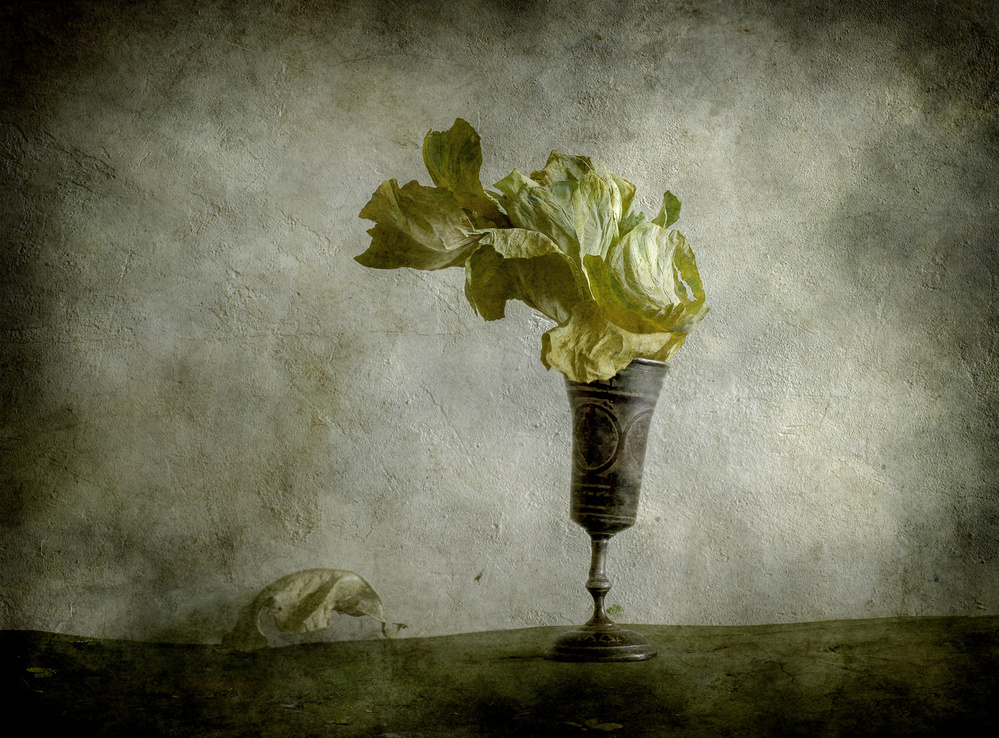 Autumn wind von Igor Tokarev