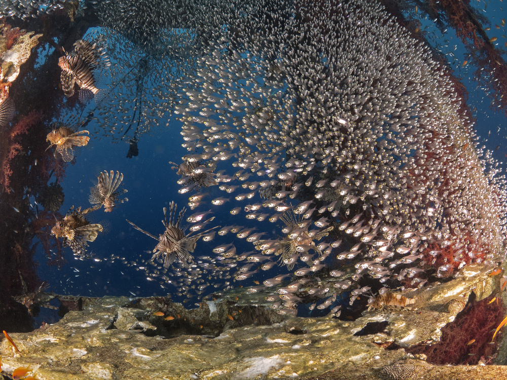 Half Dome von Ilan Ben Tov