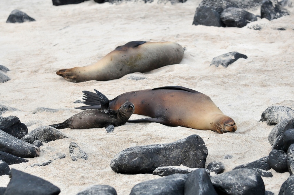 Mommy look von Ilan Ben Tov