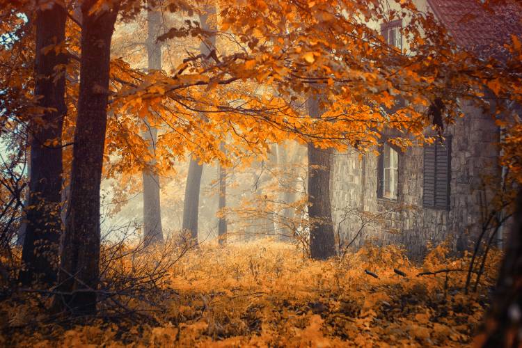 Hideaway von Ildiko Neer