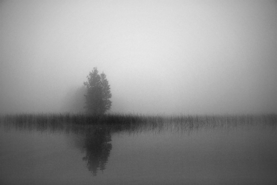 Waking up.. von Ilja Hackman