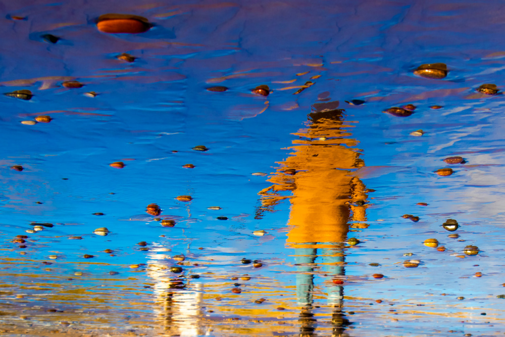 Autumn by the sea von Ilze Ozola