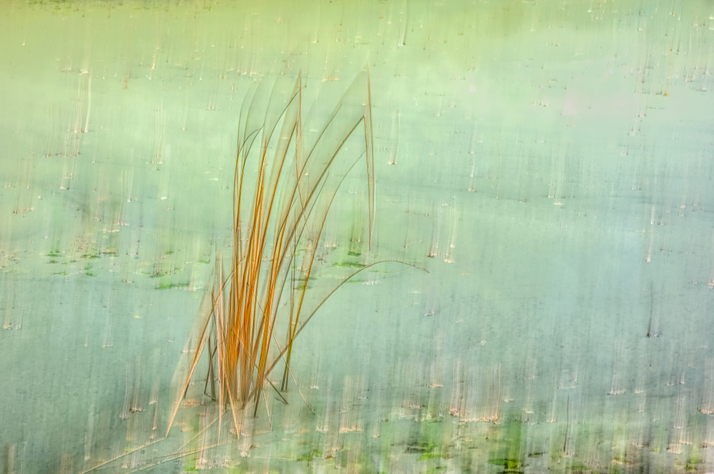 Flexible von Ina Bouhuijzen