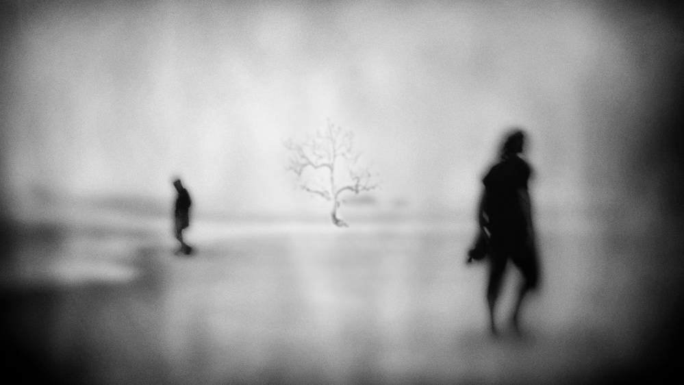 Opposite direction von Ina Tänzer