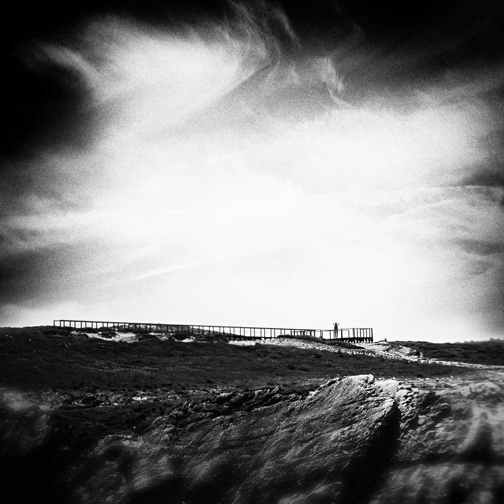 free.. von Ina Tänzer