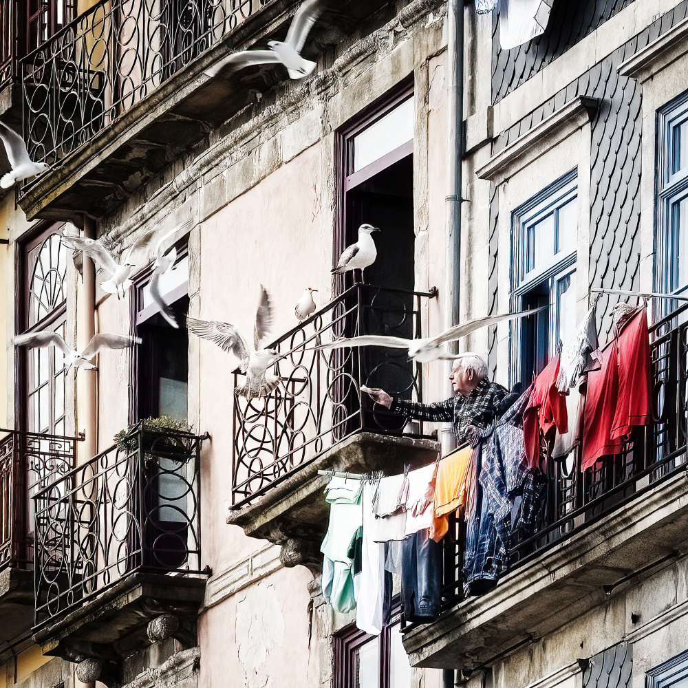 seagulls feeder von Ina Tänzer