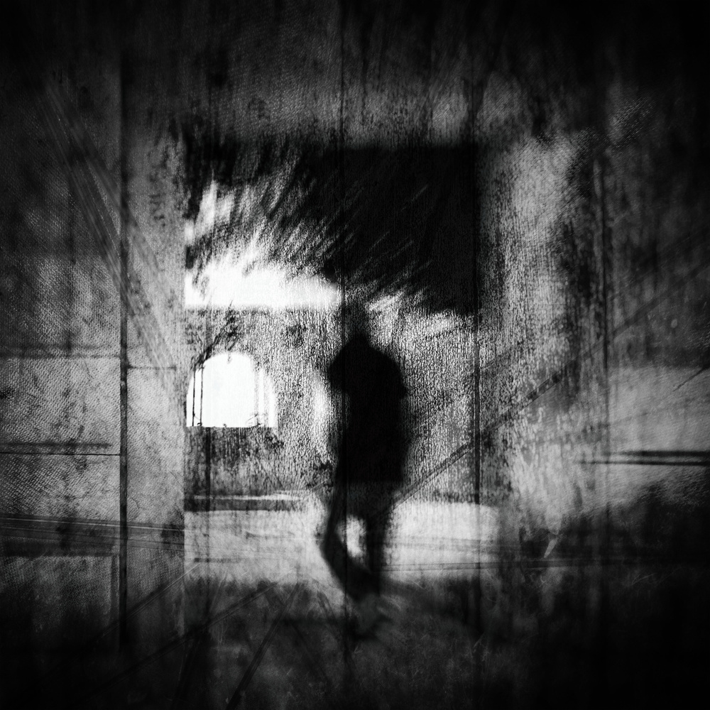 into the light.. von Ina Tänzer