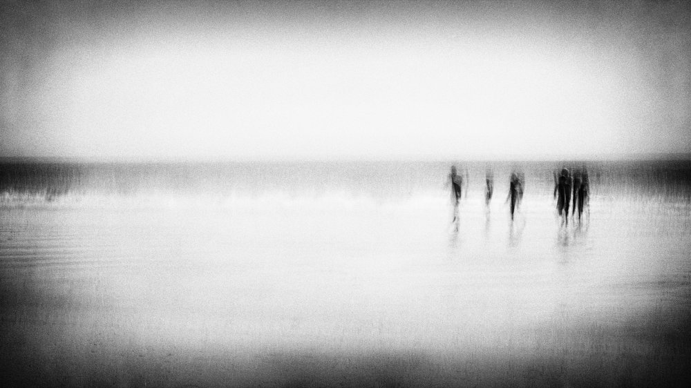 Phantoms von Ina Tänzer