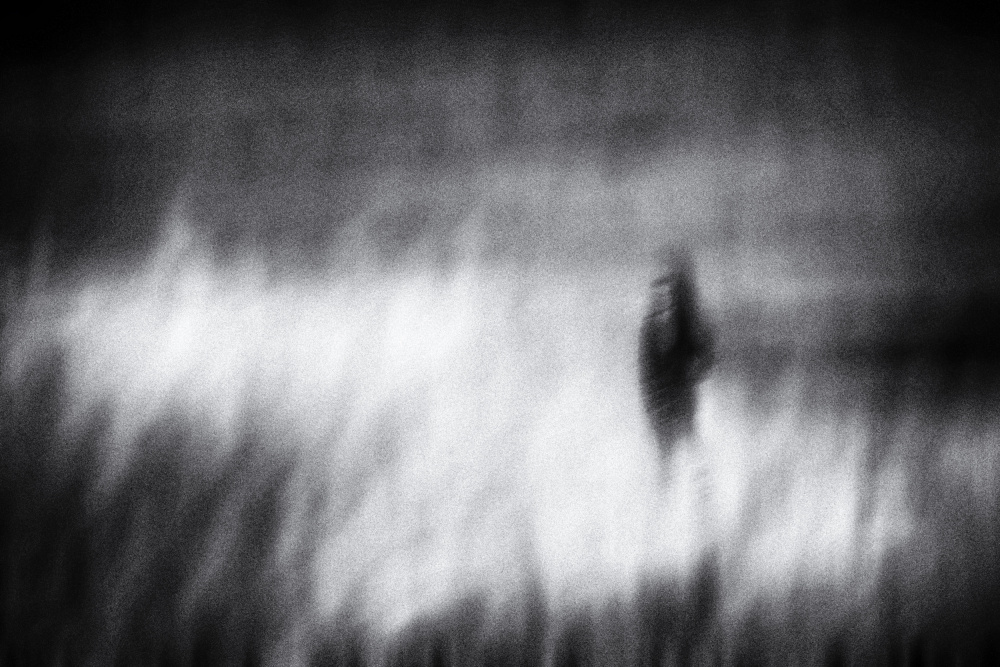 under fire von Ina Tänzer