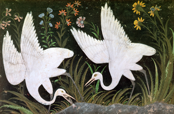 Two Cranes on the Edge of a Pond von Indian School