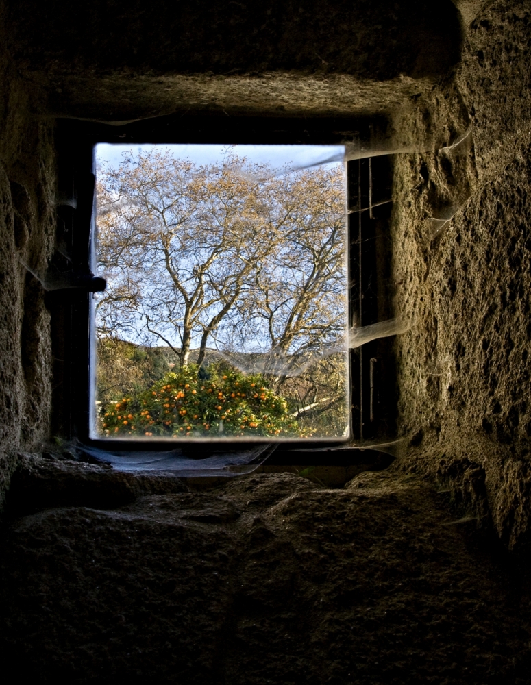 Hope von Inés Montenegro