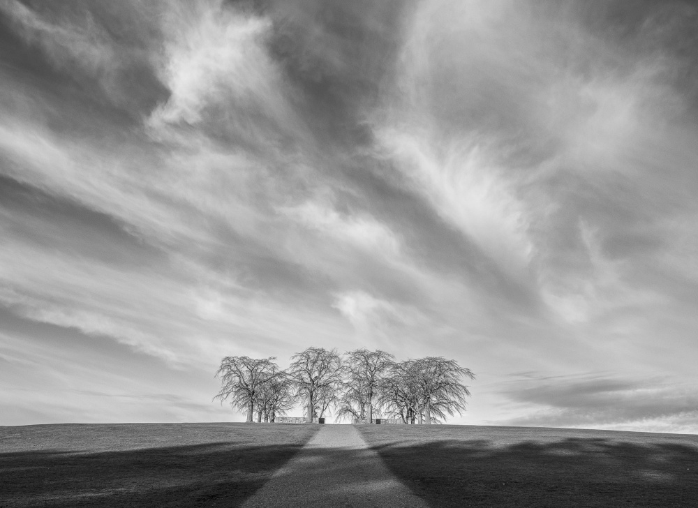 In the End von Inger Palo