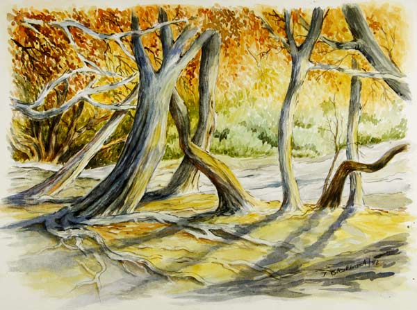 Im Olivenhain von Ingrid Glattback