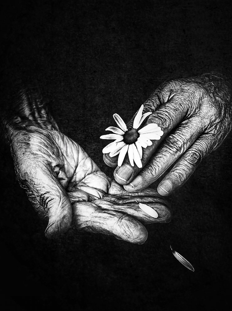 Years as fragile as flowers von Ingrida Urbonavičienė