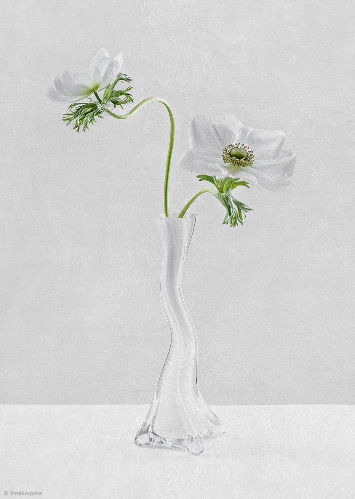 Curves von Inna Karpova