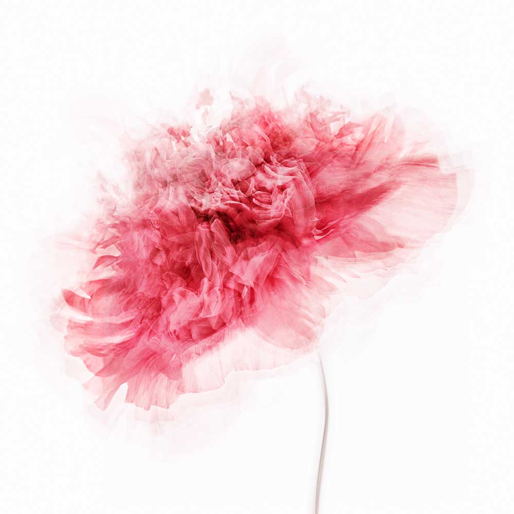 Mohn Impressionen von Inna Karpova