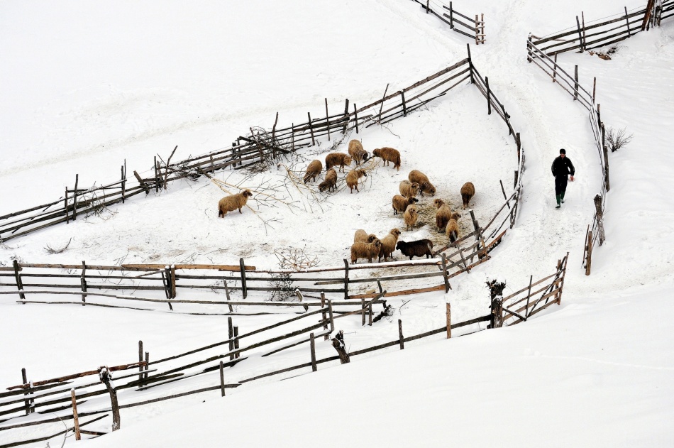 Protected Area von Ionut Harag