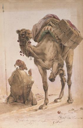 Praying Arab with a Secured Camel