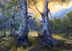 Bevor das Licht schwindet