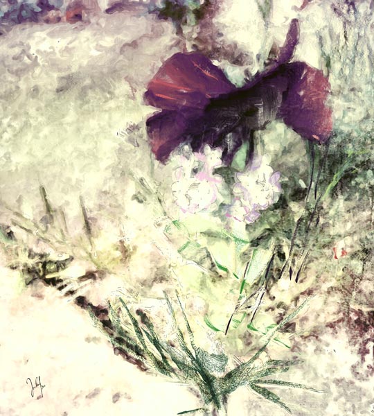 by the wayside von Georg Ireland