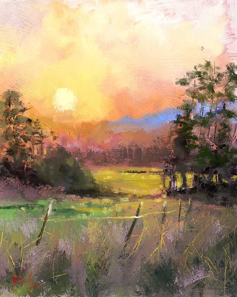 Sommerwiese von Georg Ireland