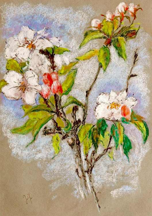 Spring fever von Georg Ireland