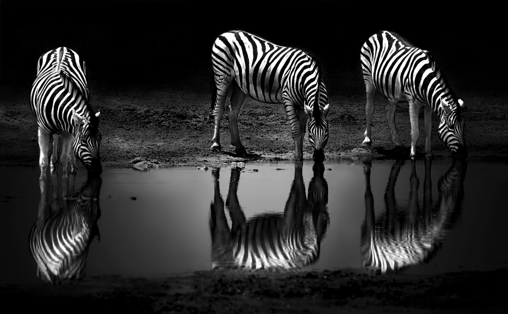 Reflections in the moonlight von Irene Perovich