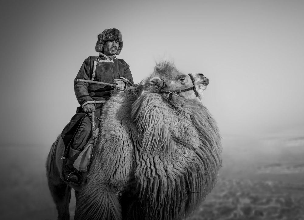 Farmer and His Camel von Irene Wu