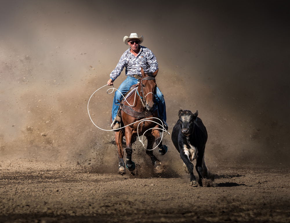 Escaping von Irene Wu