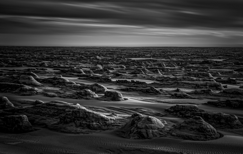 Desert Weatherg von Irene Wu