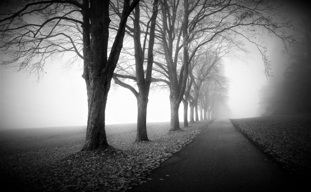 November mood von Irma Warth