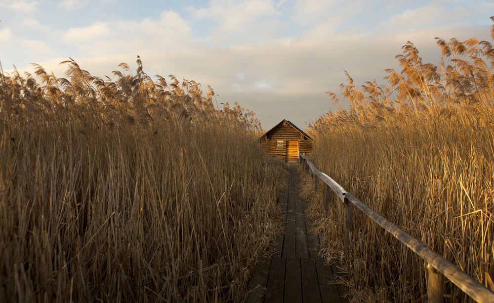 home sweet home von Irma Warth