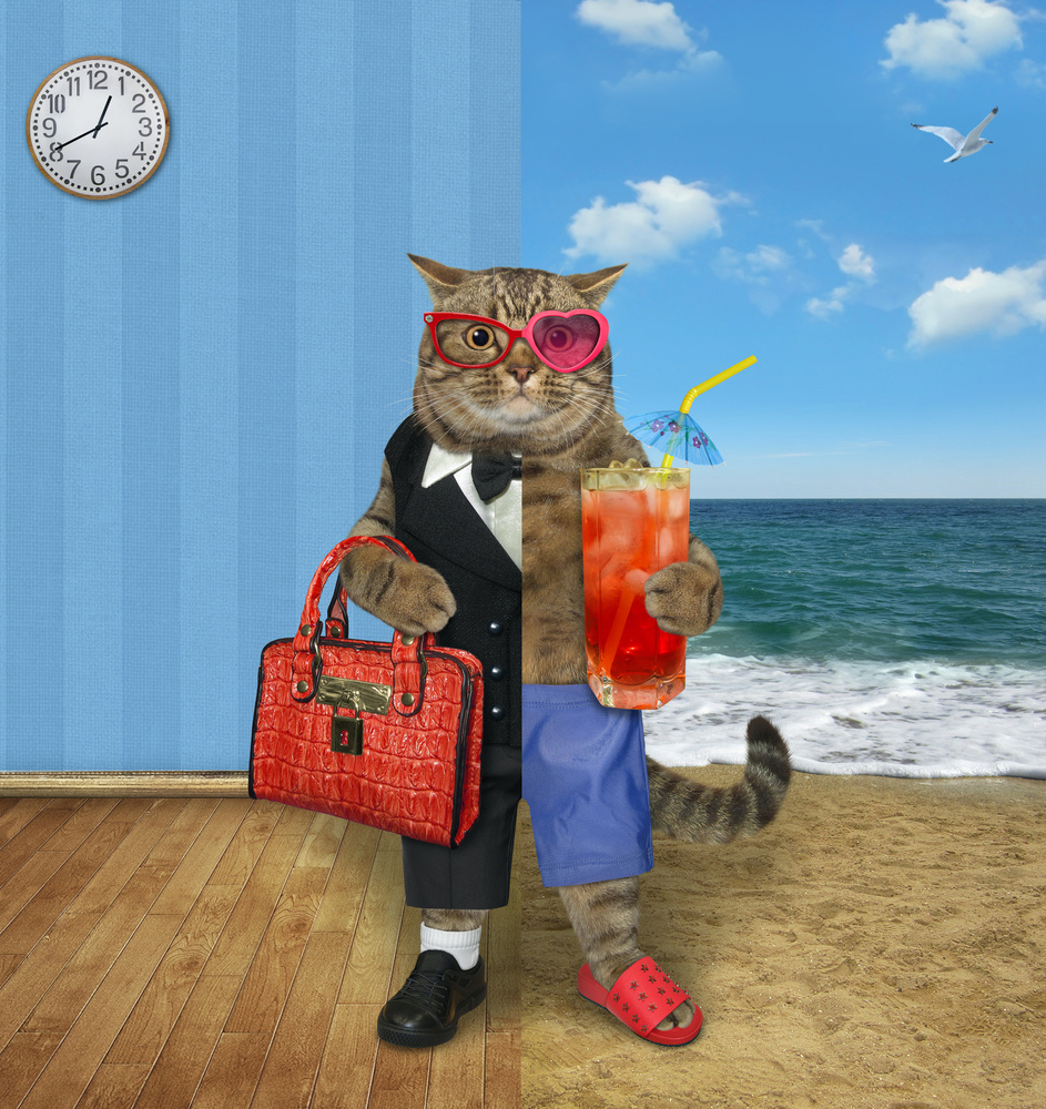 Work or leisure ... von Iryna Kuznetsova (Iridi)