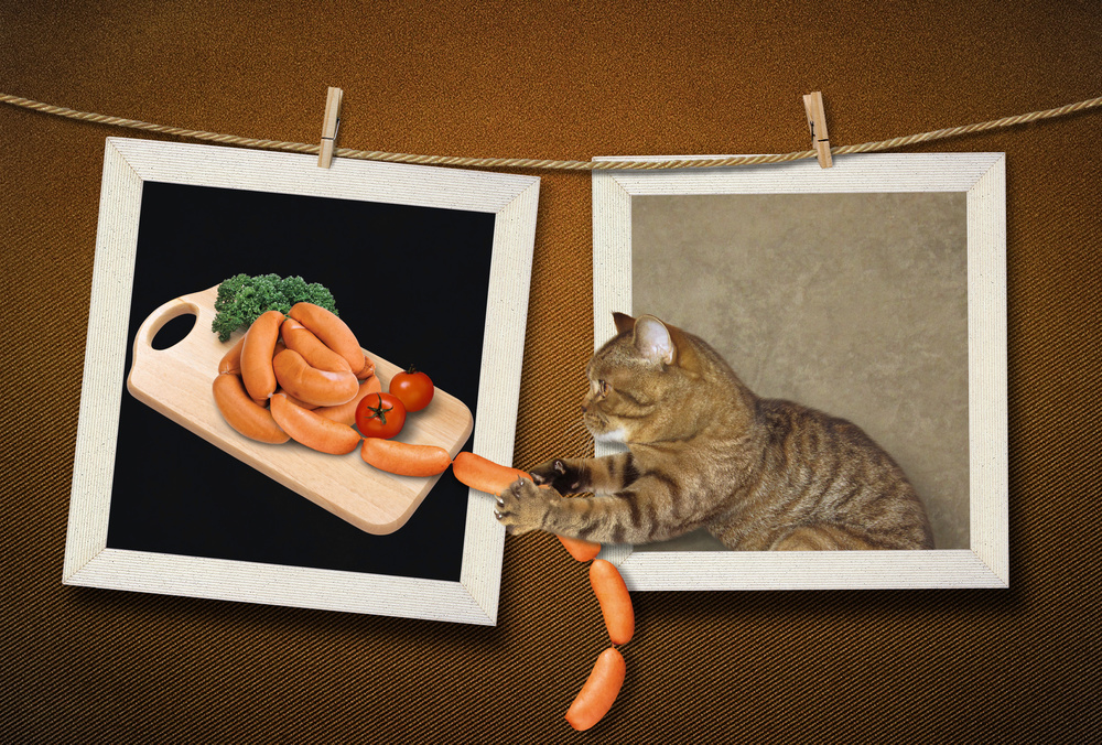 Pilferer... von Iryna Kuznetsova (Iridi)