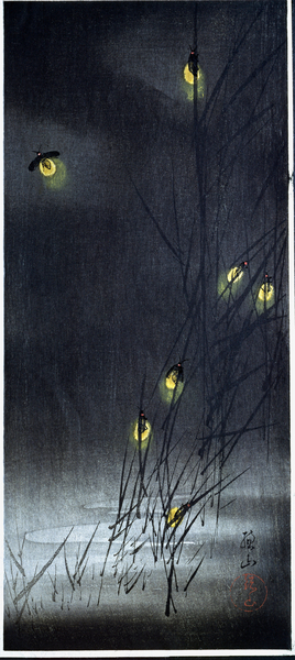 Fireflies in summer night. 1930-1950 von Ito Sozan
