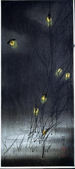 Fireflies in summer night. 1930-1950