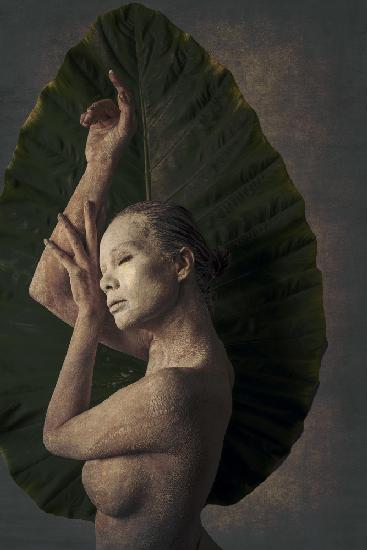 Longing for Leaf no 1