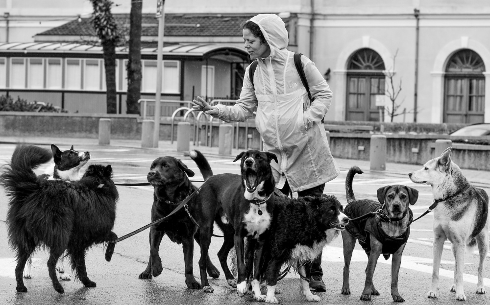 Communication von Itzik Einhorn