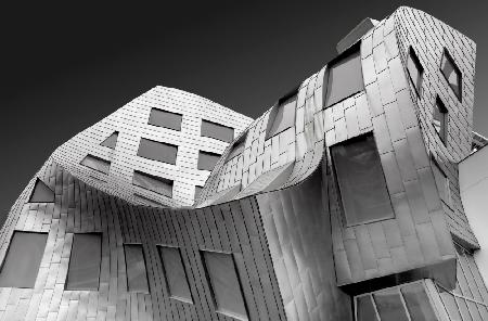 Frank Gehry Iconic Curve