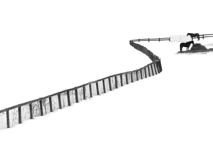 S Fence von Ivan Huang