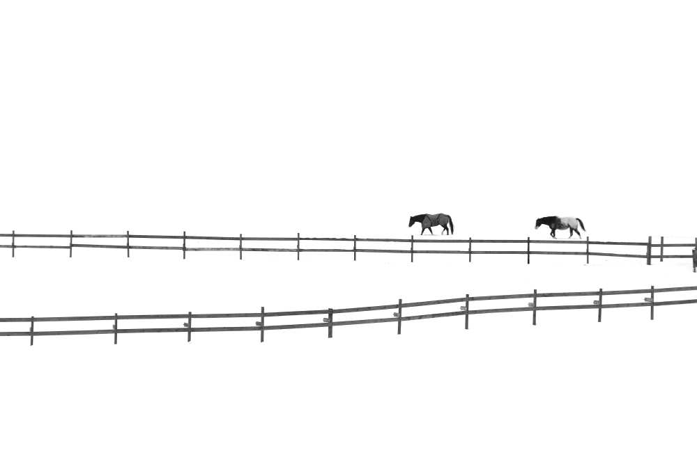 Untitled von Ivan Huang